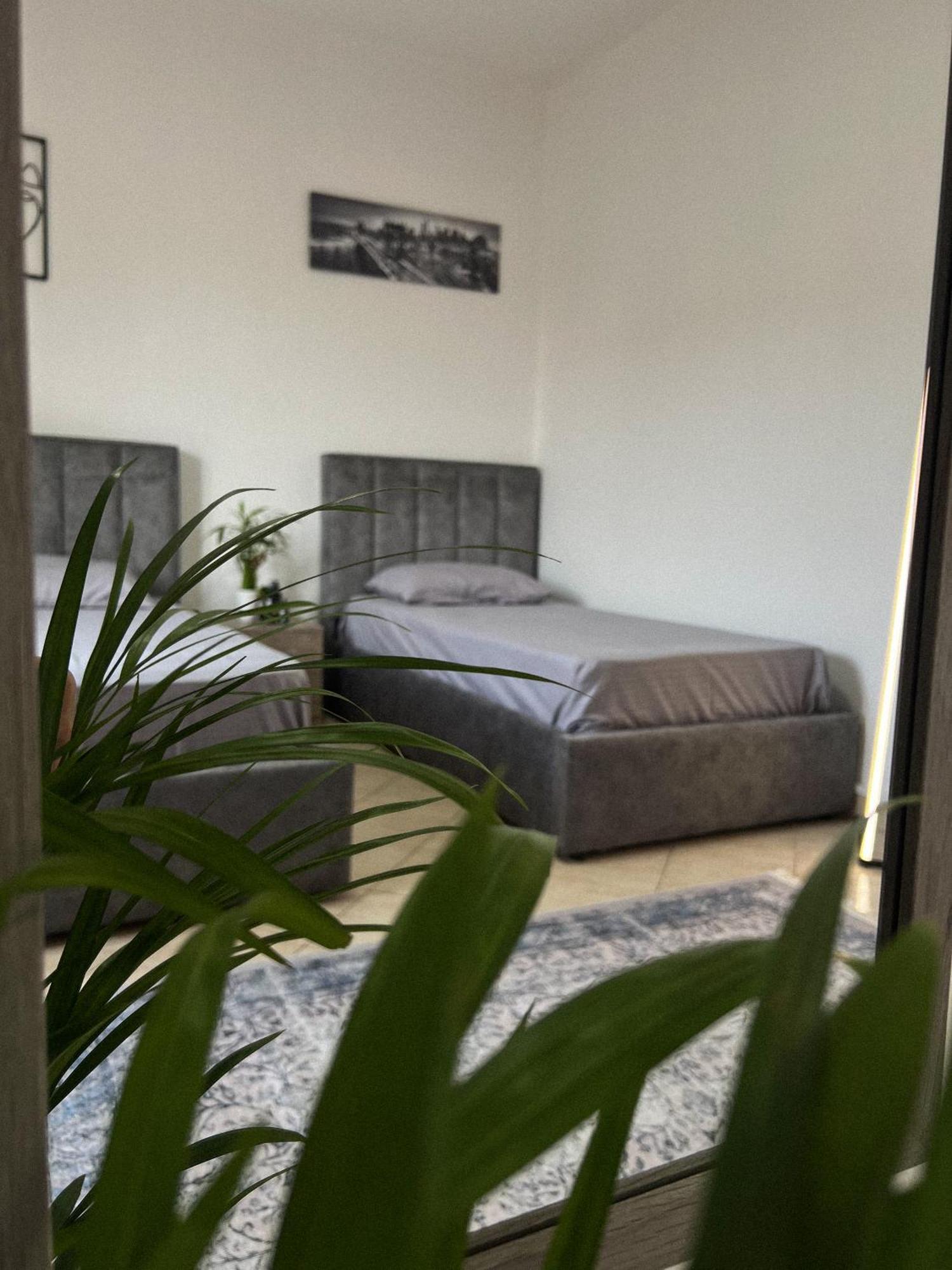 Hostel By Fenix Tirana Exterior photo